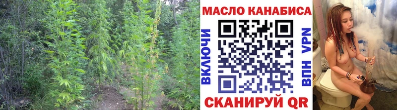 купить закладку Апрелевка ТГК гашишное масло