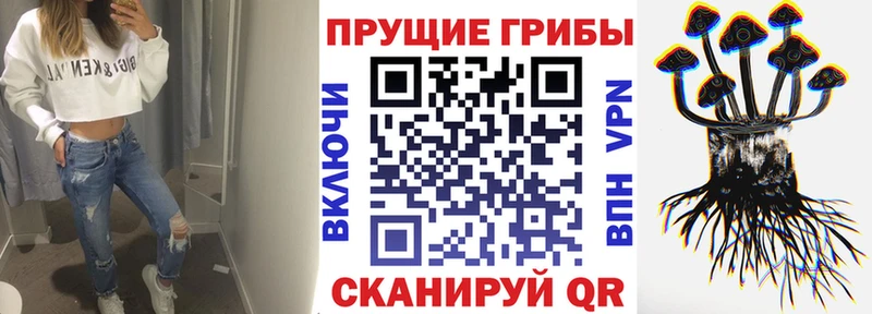 Галлюциногенные грибы GOLDEN TEACHER  Апрелевка 